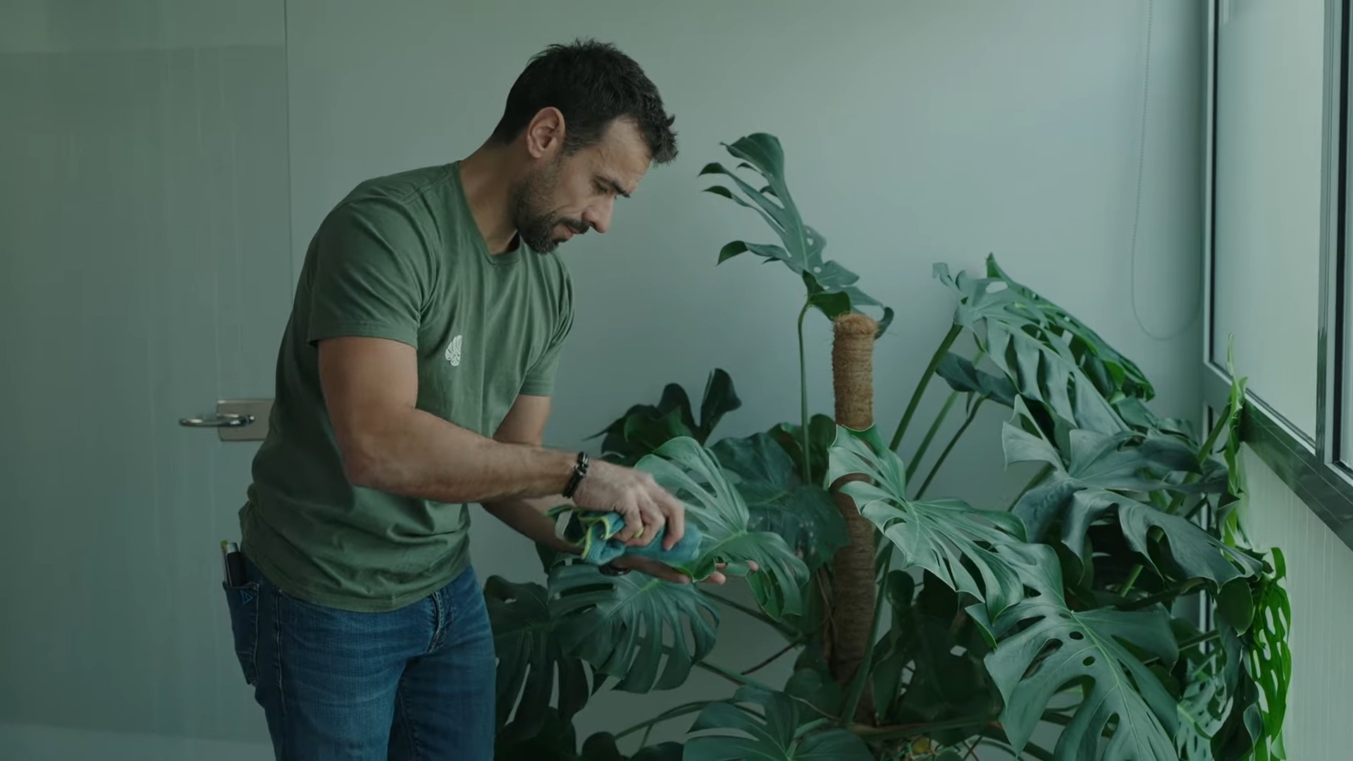 Film Hoya, jardiniers d'intérieur, réalisé par Engivy Production